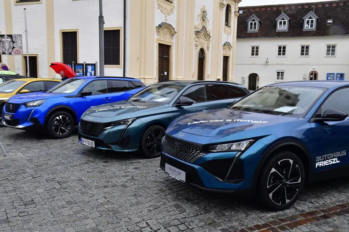 Autohändler aus dem Bezirk präsentierten in diesem Rahmen ihre Automarken.