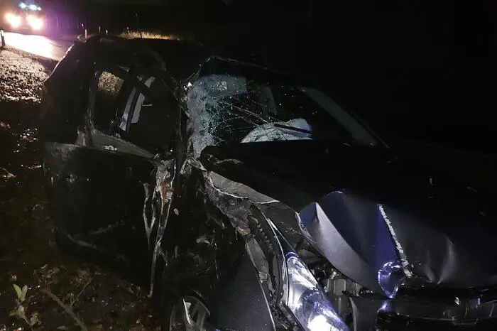 Die Freiwillige Feuerwehr Puch bei Weiz war mit 13 Mitgliedern im Einsatz.