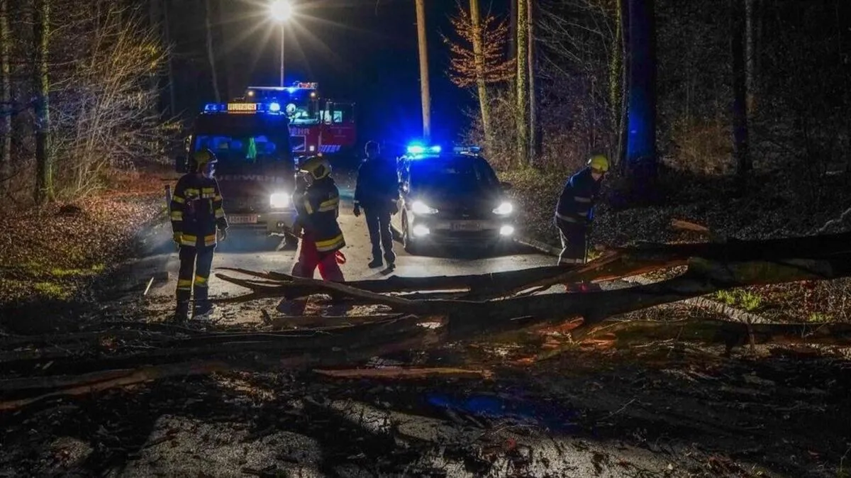 Der umgestürzte Baum versperrte die gesamte Fahrbahn.