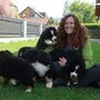 Christina Fruhwirth und ihre Berner Sennenhunde