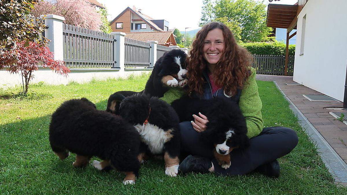 Christina Fruhwirth und ihre Berner Sennenhunde