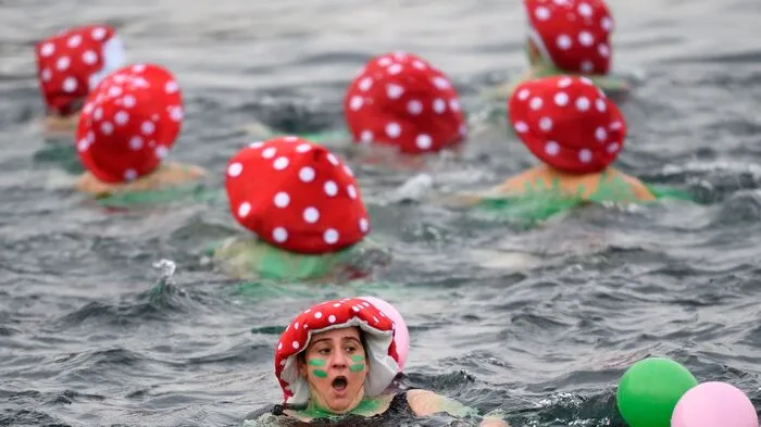 Anlass war das 78. Weihnachtsschwimmen über 120 Meter entlang des Englischen Gartens in Genf.