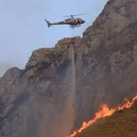 Waldbrände sorgen vielerorts für große Schäden