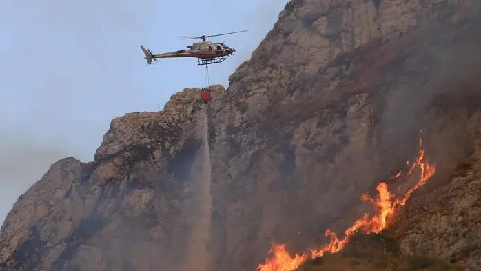 Waldbrände sorgen vielerorts für große Schäden