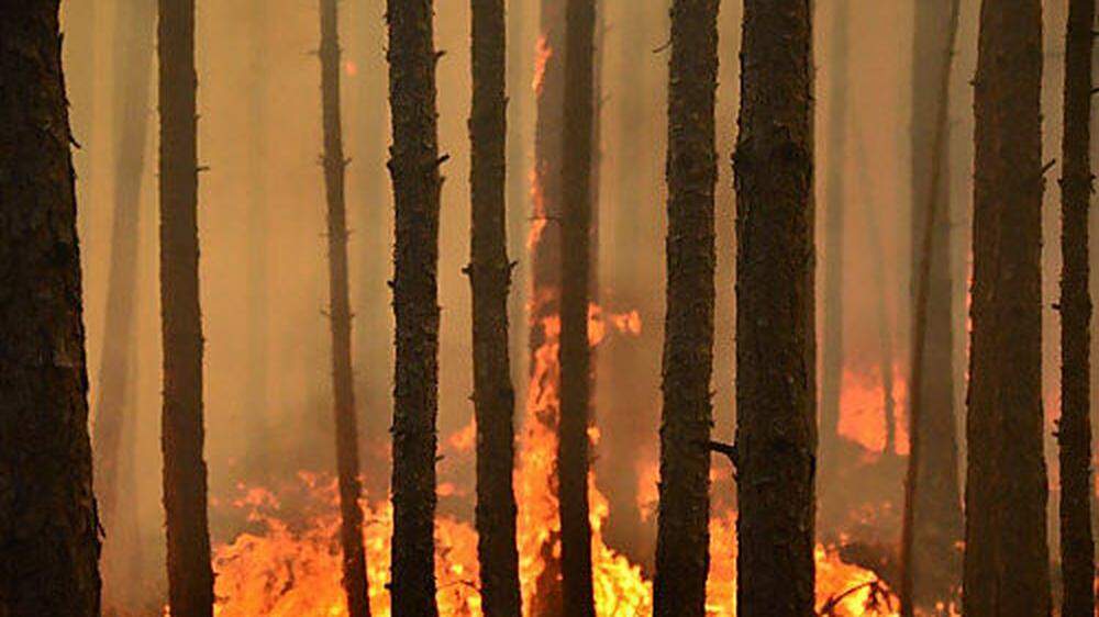 Waldbrand konnte verhindert werden (Sujet)