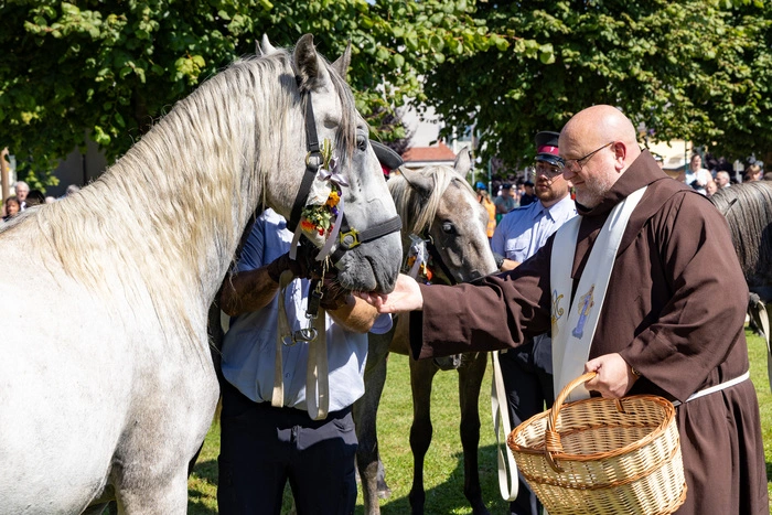 Die Segnung der Jungen Wilden | Die Besucher des Almabtriebfests können per Live-Übertragung verfolgen, wie die Junghengste gesegnet werden
