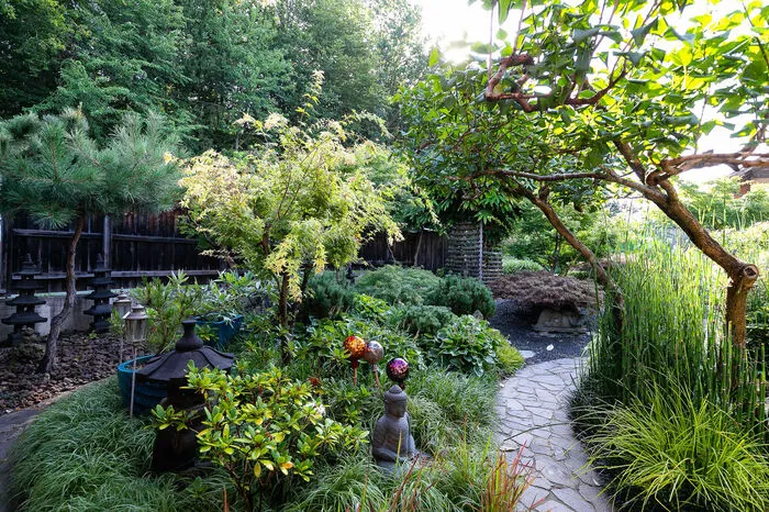 Der Garten ist ein Reich für sich. Statt des gängigen Auftritts - Rasen, Obstbaum, Thujenhecke - schuf man auf etwa 700 Quadratmeter Fläche einen asiatisch inspirierten Traumgarten.