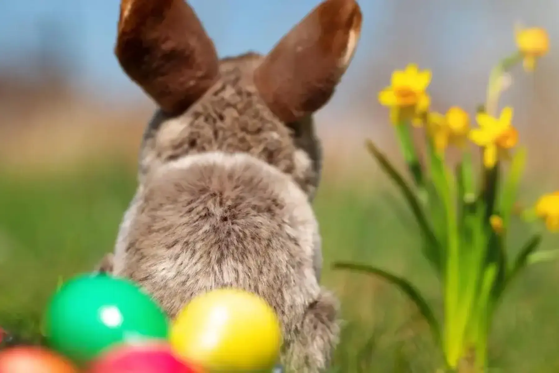 Freitag, 3. April: Der Nachrichtenüberblick zu Mittag