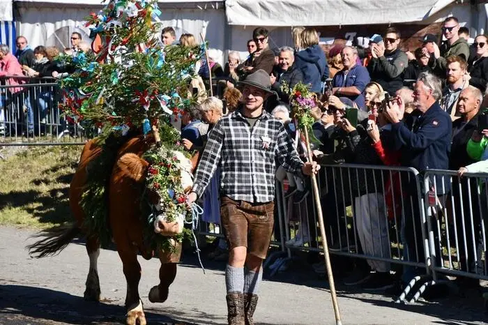 Der „Michaelisamstag“ ist für die Landwirte bzw. Almbauern im obersteirischen Lachtalgebiet der traditionelle Almabtrieb