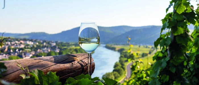 Weinreise durch Deutschlands schönste Flusstäler