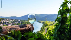 Weinreise durch Deutschlands schönste Flusstäler