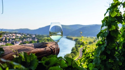 Weinreise durch Deutschlands schönste Flusstäler