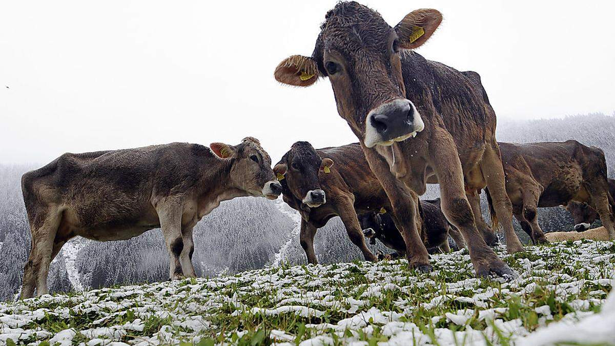 Im Westen schickt der Winter einen kalten Gruß