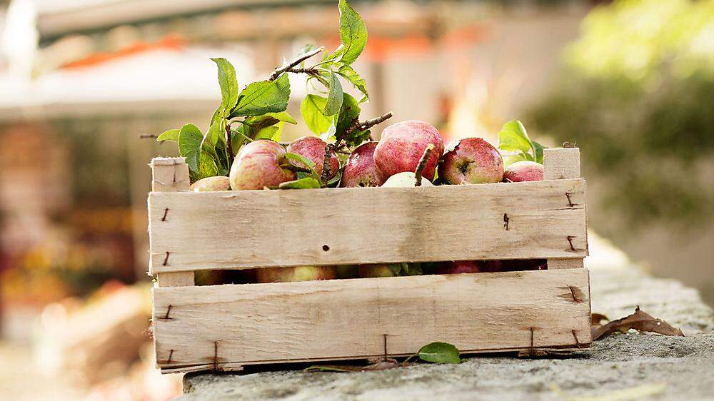 Winterschutz für Äpfel: alles eine Frage der richtigen Lagerung
