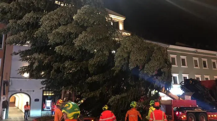 18 Meter hoch ist der heurige Villacher Christbaum.