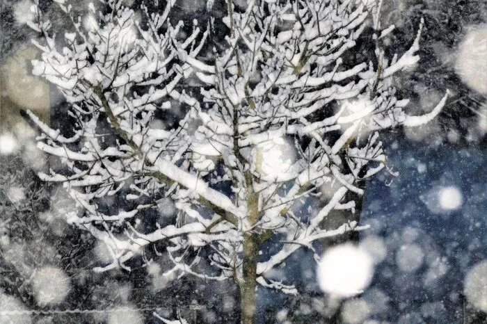 Klicken Sie sich durch die Winter-Bilder.
