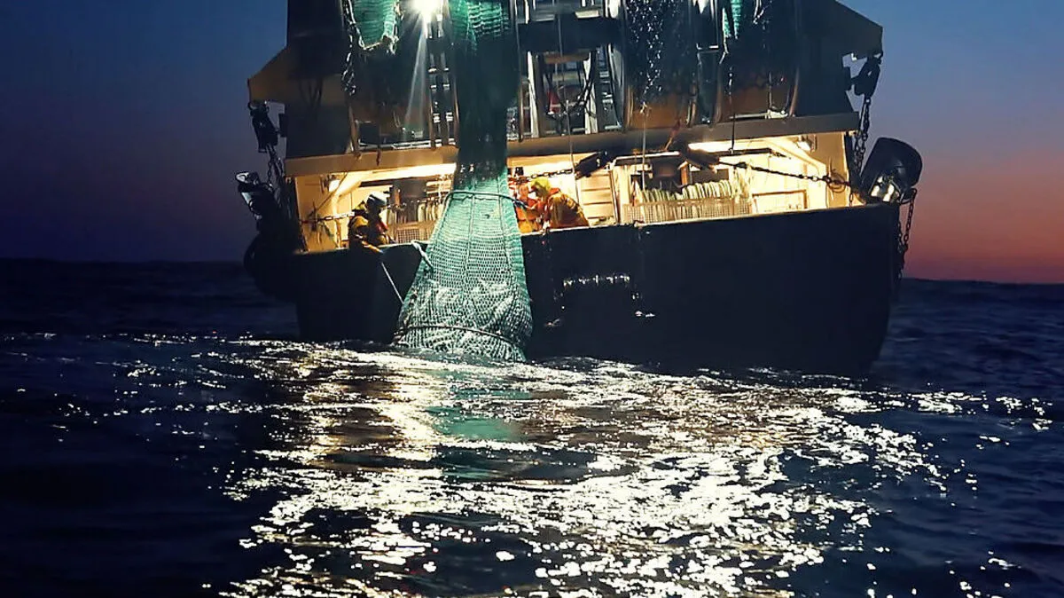 Die Doku "Seaspiracy" auf Netflix