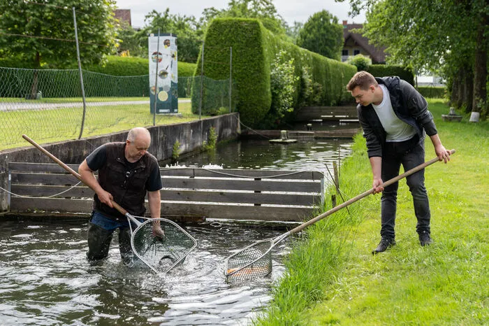 Sauerstoffreiches Quellwasser und hochwertiges Futter bilden die Basis für die ausgezeichnete Qualität der Fische.