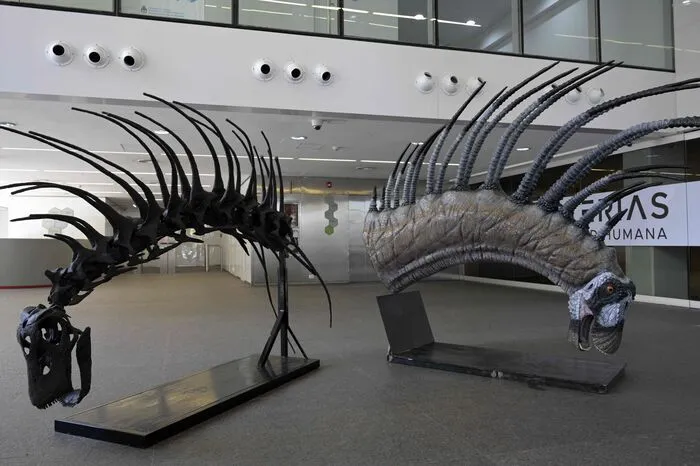 Den neu entdeckten Dino nannten sie Bajadasaurus pronuspinax, in Anlehnung an den Fundort Bajada Colorada in der Provinz Neuquen. Der Dinosaurier gehört zur pflanzenfressenden Familie der Dicraeosauridae.