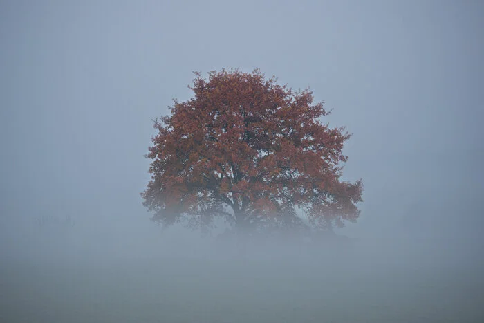 Nichts für schwache Nerven: ein Feldweg, die einbrechende Dämmerung, ein Spaziergang. Wer das Ganze noch steigern möchte, nimmt Kurs auf den Wald. Mehr Grusel geht auf natürlichem Wege nicht.