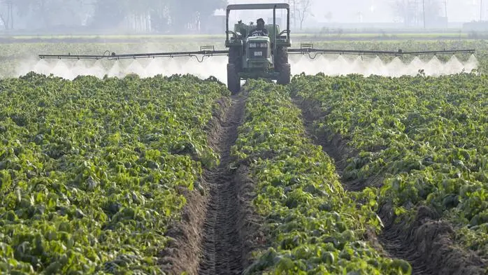 Mit einem Traktor werden auf einem Feld Pestizide ausgebracht
