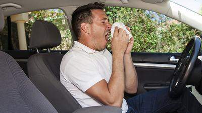 Beim Autofahren kann eine Pollenallergie zur Gefahr werden (Symbolfoto)