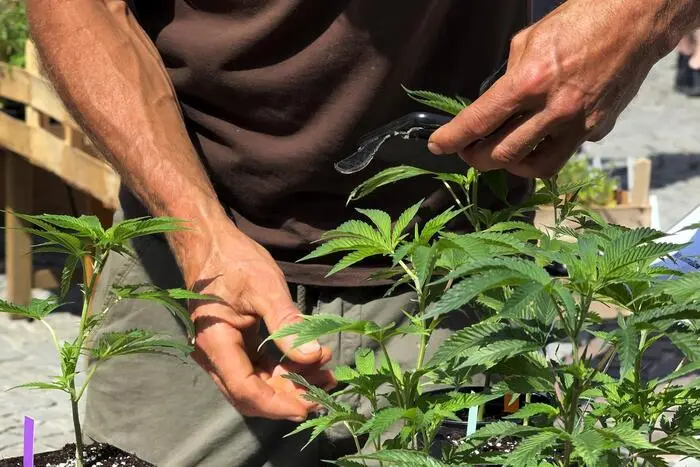 Neben dem umfangreichen Angebot an Pflanzen und Gartenaccessoires erwartete die BesucherInnen auch Kulinarisches, zubereitet von der Pfadfindergilde Fürstenfeld, perfekt für eine genussvolle Pause beim Marktbummel. Für die kleinen Besucher gab es ein Kinderprogramm mit den Wurzelwerkerinnen unter dem Motto „Der Natur auf der Spur“.
