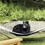 Ein Schwarzbär machte es sich in der Hängematte bequem