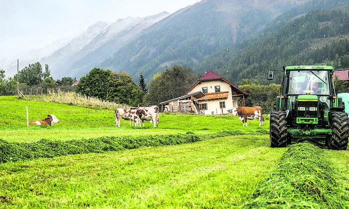 Ein Großteil des Futters muss bei AMA-Gütesiegel-Betrieben vom eigenen Hof stammen