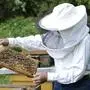 Der königliche Imker informierte die Bienen zeitnah über den Thronwechsel (Sujetbild)