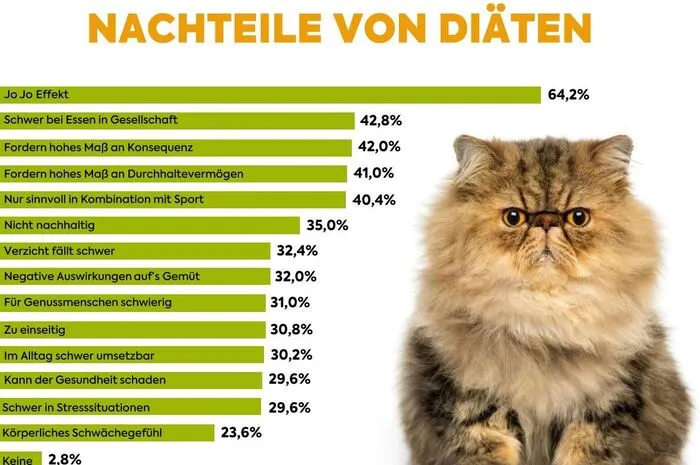 Radikaldiäten führen zum bekannten Jo-Jo-Effekt und bringen oft mehr Speck zurück, als man losgeworden ist.