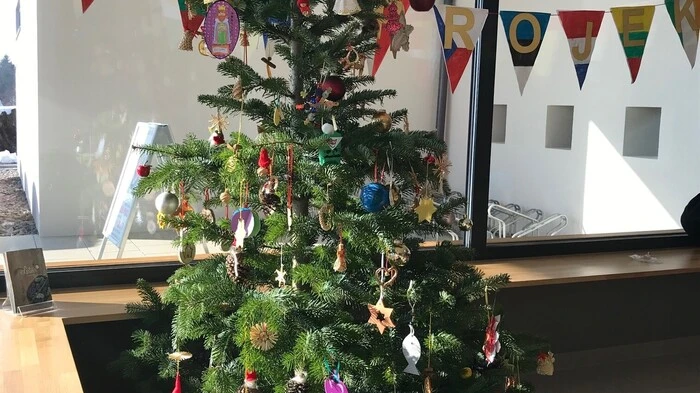 Das ist der europäische Christbaum in Hofstätten.