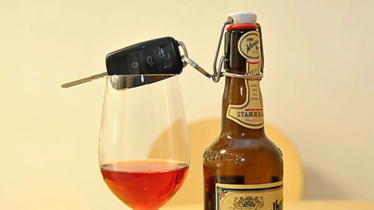 Alkohol war im Spiel: Der nüchterne Pkw-Lenker verlor die Kontrolle über das Fahrzeug, weil der betrunkene Beifahrer die Handbremse betätigte