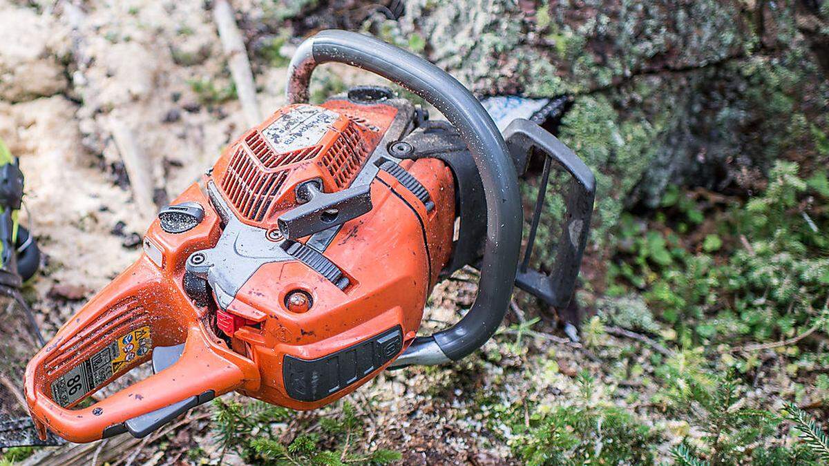 Der Mann fällt mit einer Motorsäge einen Buchenbaum