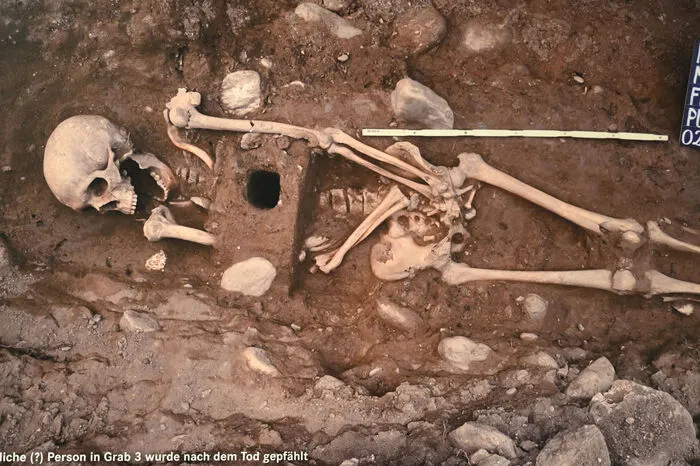 Der geheimnisumwitterte Sensationsfund: Derzeit ist die "Untote von Molzbichl" nach dem Tod gepfählt, in Halle an der Saale, wo das mehr als 1000 Jahre alte Skelett für eine Ausstellung vorbreitet wird.