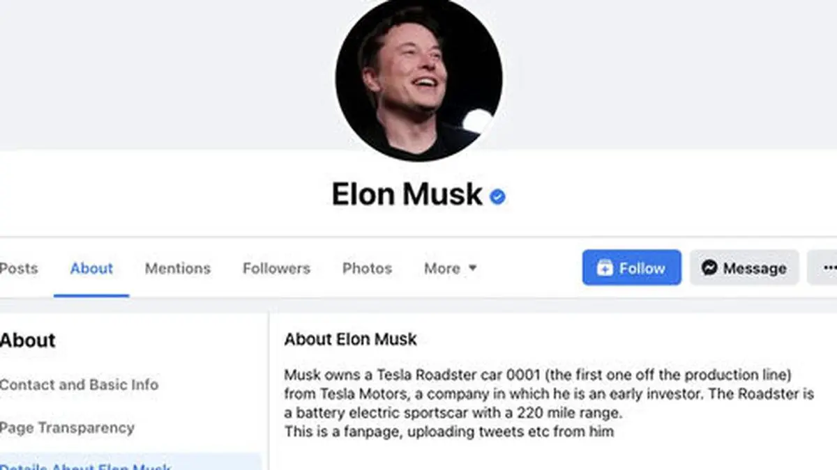 Der "falsche" Elon Musk