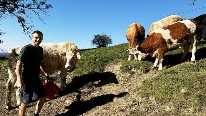 Landwirt Christian Tassler bei seinen Kühen: „Ohne Wasser ist es für sie weitaus schlimmer, als einen Tag ohne Futter zu sein.“