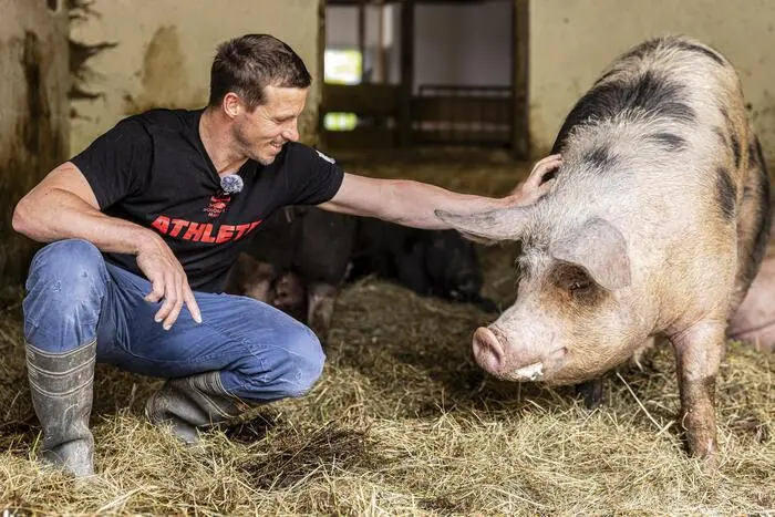 Eigene Aufzucht der Bio-Schweine und die Schlachtung am Hofbetrieb, garantieren beste Fleischqualität.