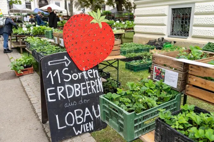 Klicken Sie sich durch die Fotos...