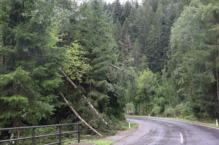 So sieht es aktuell auf der L 405 Richtung Miesenbach aus.