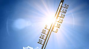 Trotz 35 Grad soll das Schnuppertraining nicht abgebrochen worden sein