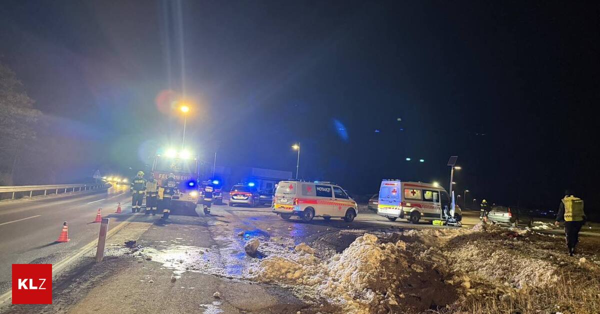 Auto-ger-t-ins-Schleudern-und-erfasst-Steirer-Hund-verendet