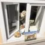 Vermutlich kamen die Täter über ein Fenster ins Geschäft