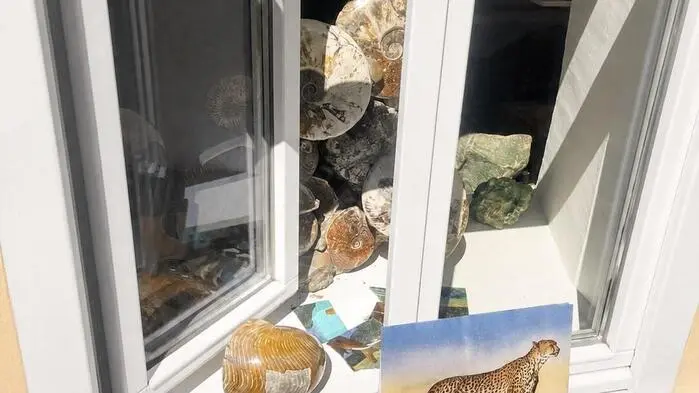Vermutlich kamen die Täter über ein Fenster ins Geschäft