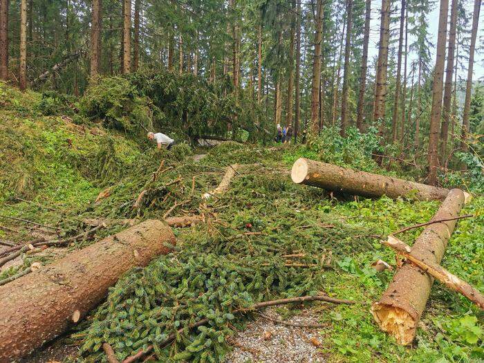 In Schiefling im Lavanttal kam es zu massiven Sturmschäden, mehrere Gemeindestraßen wurden von Bäumen verlegt
