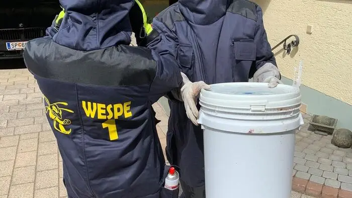 Man sieht zwei Feuerwehrleute in Anzügen gegen Wespen