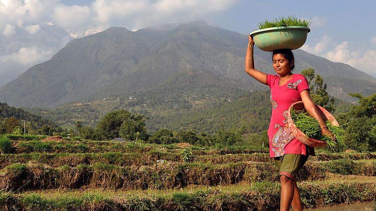 Indische Frauen werden immer dünner