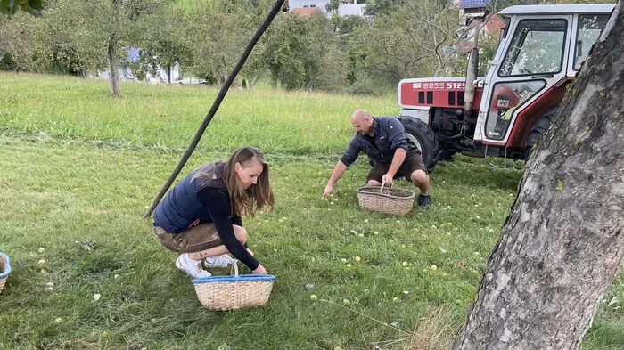 Markus und Daniela Holzer beim Äpfel klauben