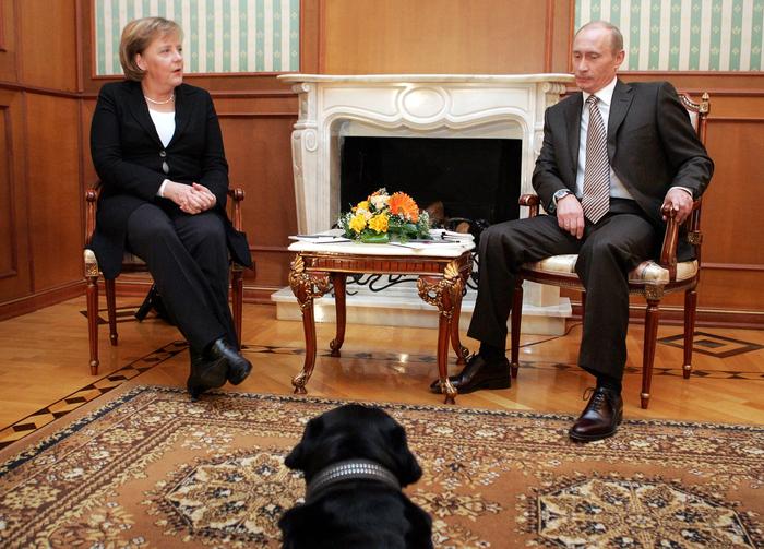 Angeblich wollte der russische Präsident mit dem Hund für eine entspannte Atmosphäre sorgen - obwohl Merkel eine Hundephobie hat