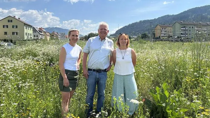 Von links: Vizebürgermeisterin Christina Kure, Bürgermeister Johann Marak und Christine Podlipnig (Verein „Blühen & Summen“)